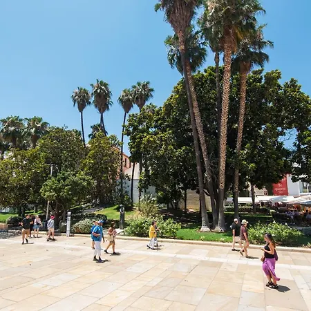 Capuchinos Center - Parking Free&pet Friendly